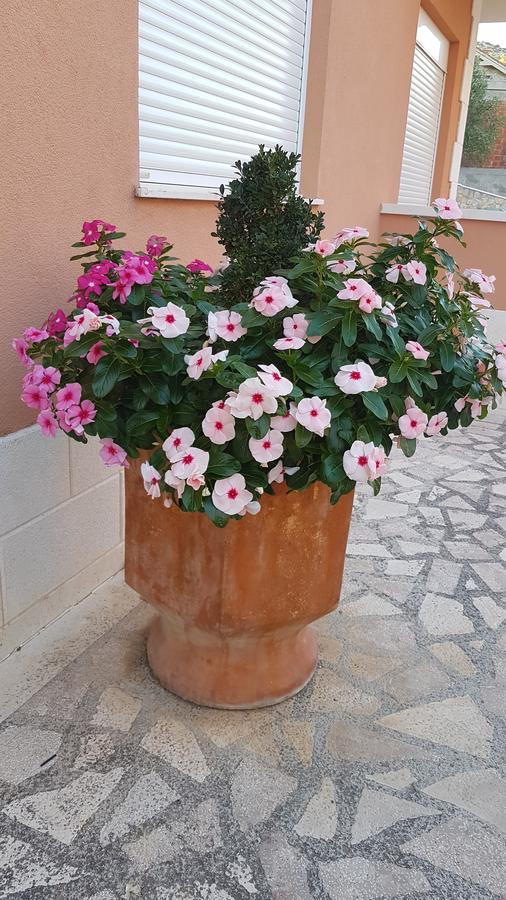 Apartman Jukic Hotel Марина Екстериор снимка